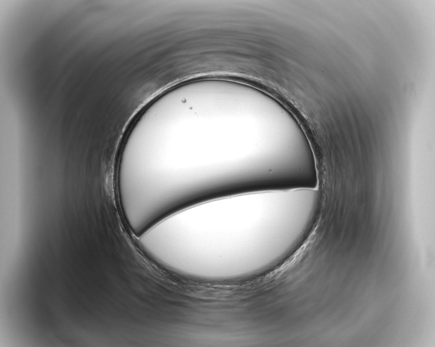 X0000096421513200801240953