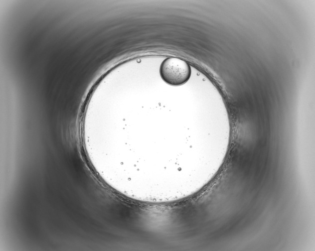 X0000096421514200801240953