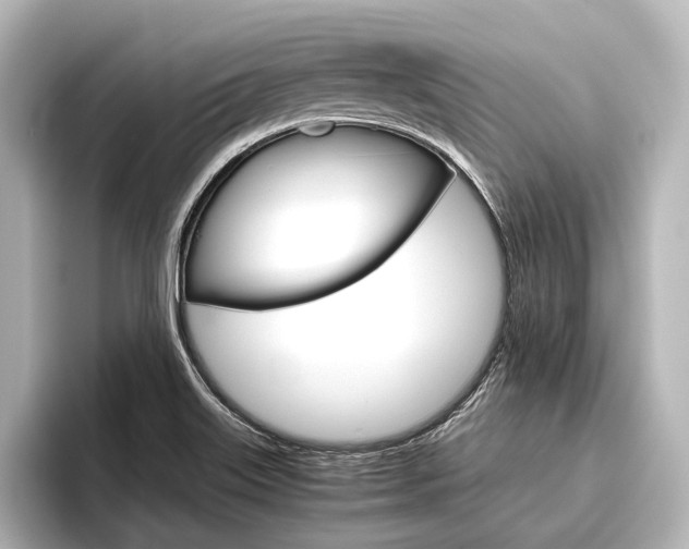 X0000096421515200801240953