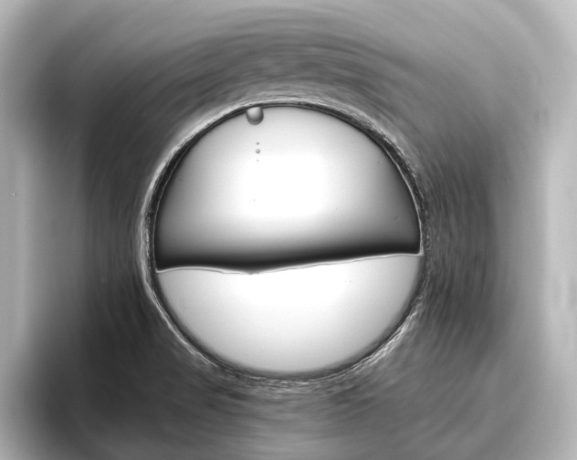 X0000096421517200801240953