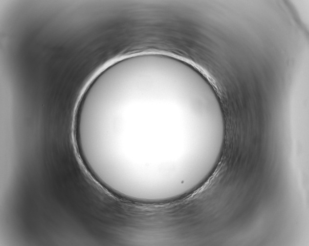 X0000096421518200801240953
