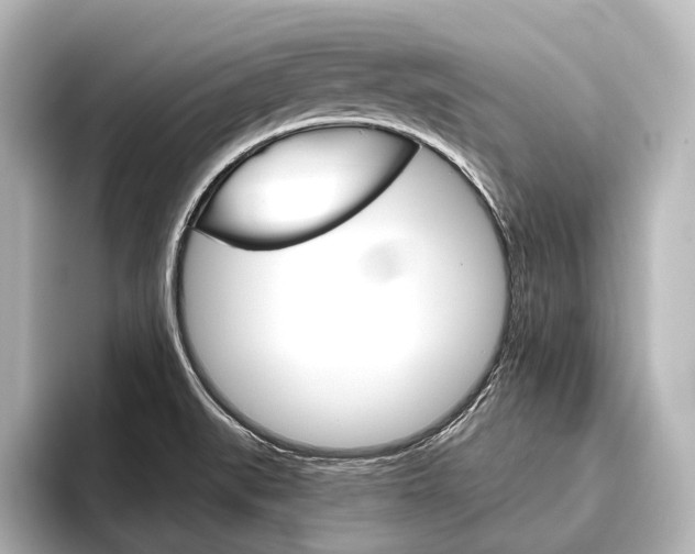 X0000096421519200801240953