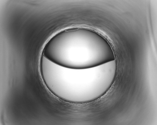 X0000096421520200801240953