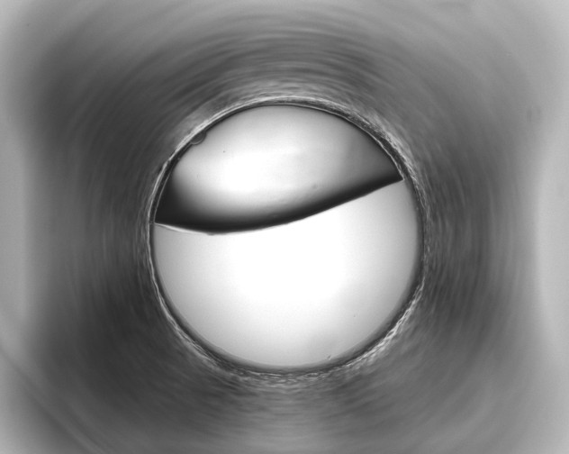 X0000096421521200801240953