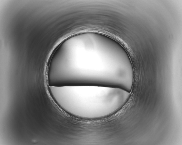 X0000096421522200801240953