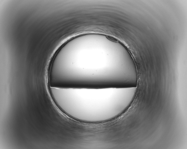X0000096421523200801240953