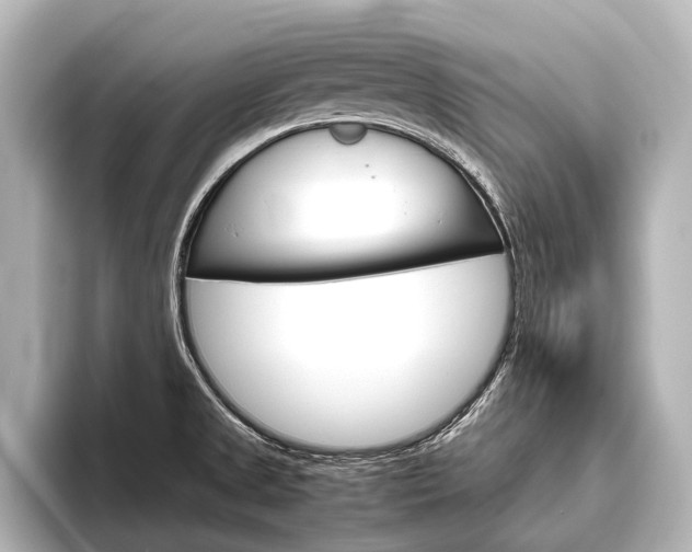 X0000096421525200801240953