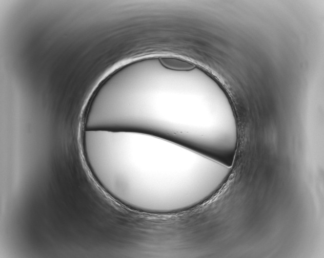 X0000096421526200801240953