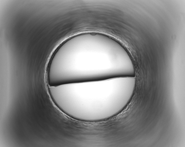 X0000096421527200801240953