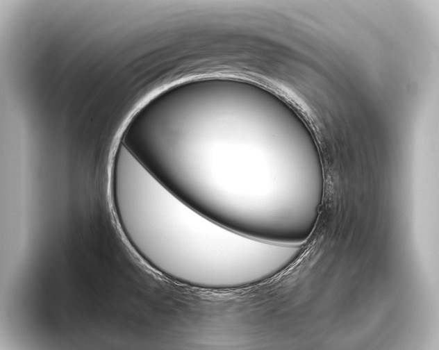 X0000096421528200801240953