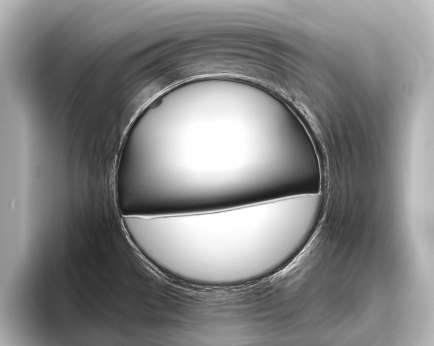 X0000096421529200801240953