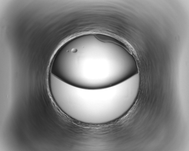 X0000096421530200801240953