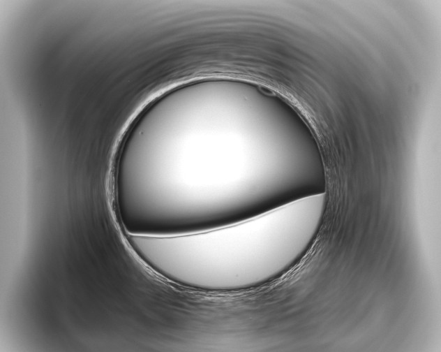 X0000096421531200801240953