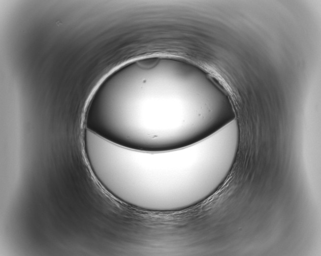X0000096421532200801240953
