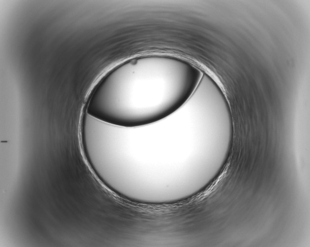 X0000096421533200801240953