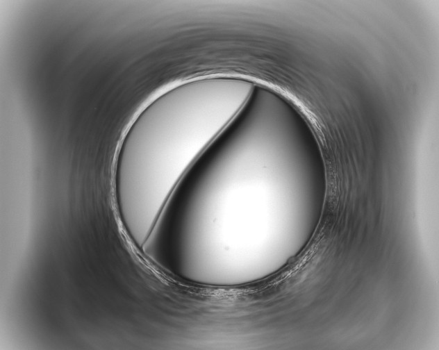 X0000096421534200801240953