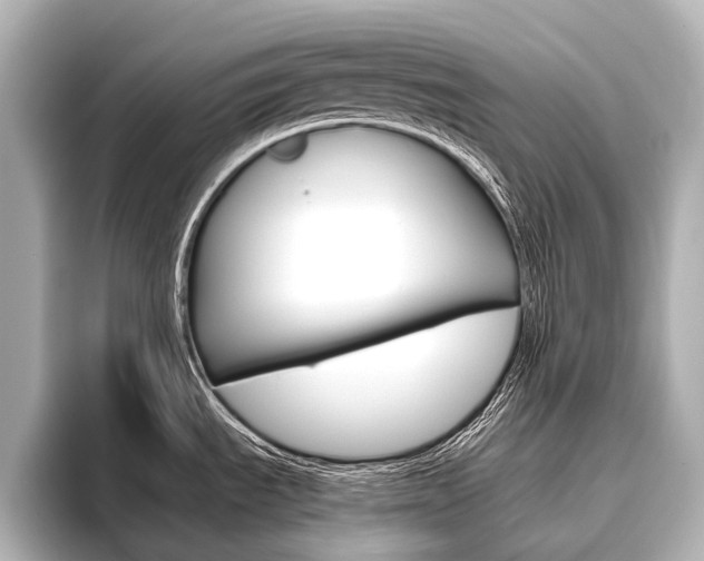 X0000096421535200801240953