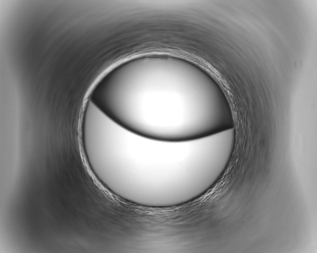 X0000096421536200801240953