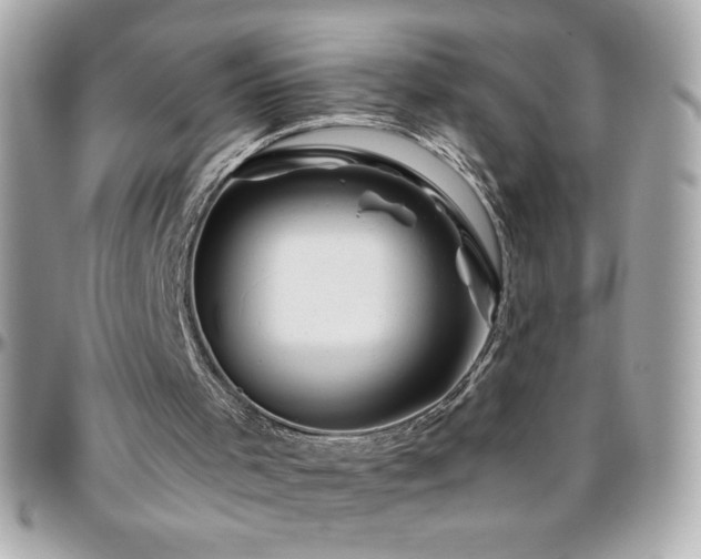 X0000096420001200801241327