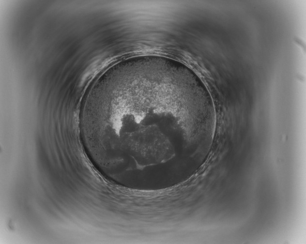 X0000096420002200801241327