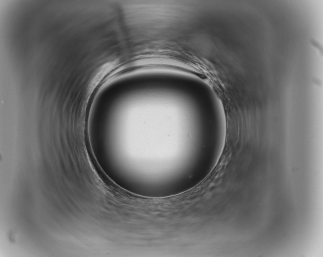 X0000096420003200801241327