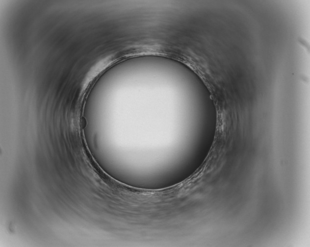 X0000096420004200801241327