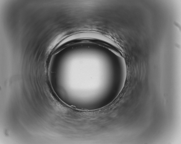 X0000096420005200801241327