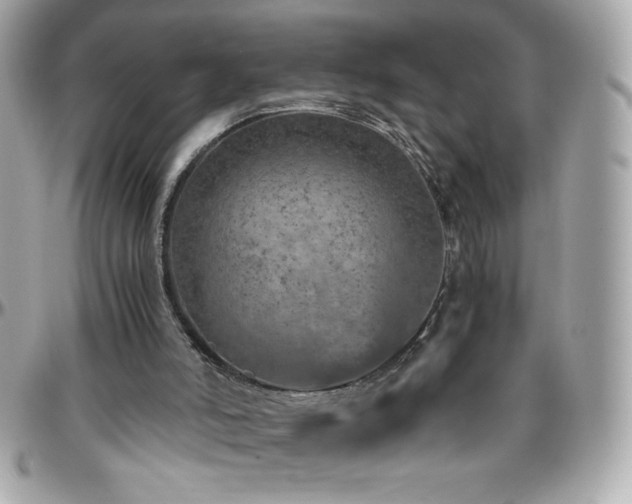 X0000096420006200801241327