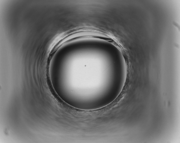 X0000096420007200801241327