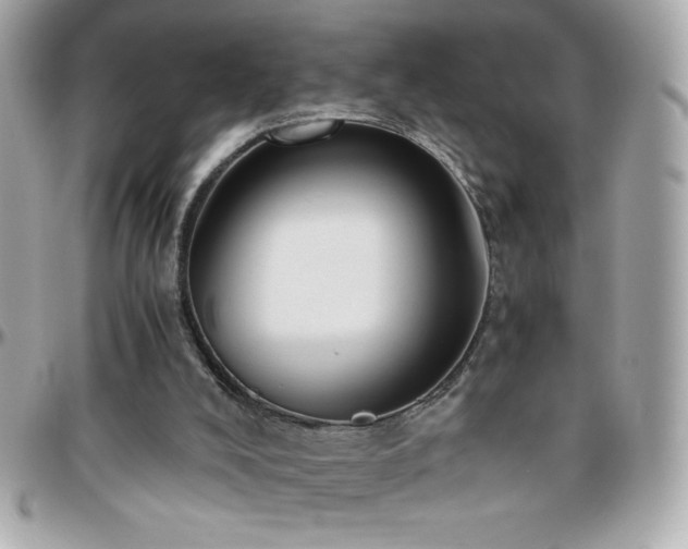 X0000096420008200801241327
