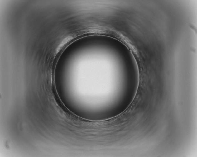 X0000096420011200801241327