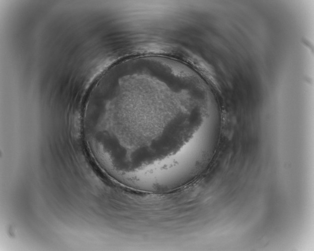 X0000096420012200801241327