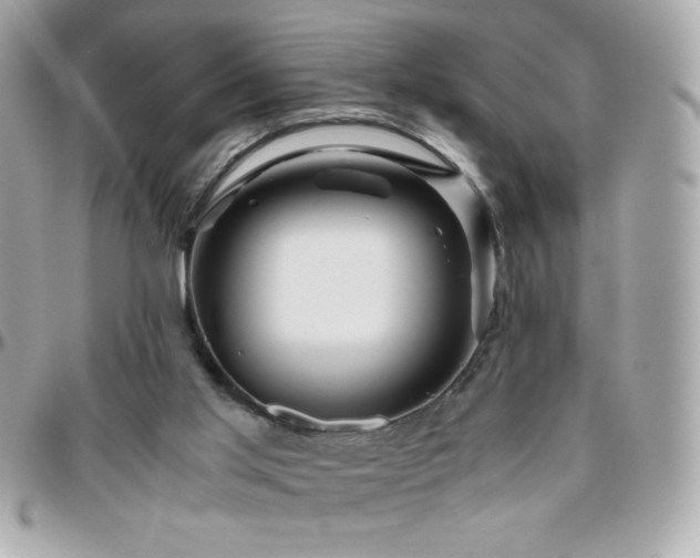 X0000096420013200801241327