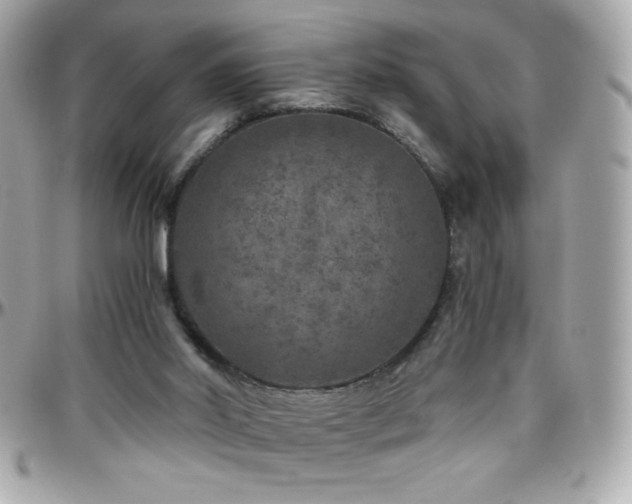 X0000096420014200801241327