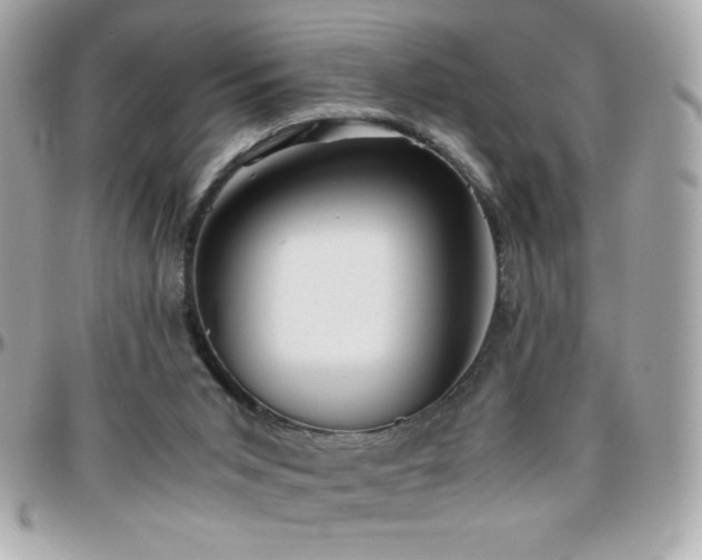 X0000096420015200801241327