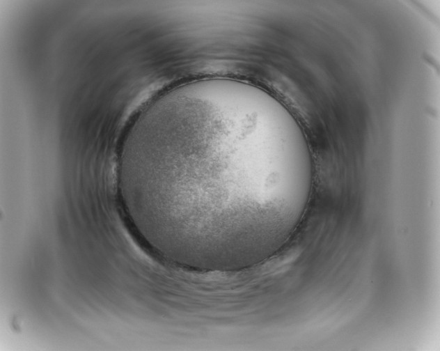 X0000096420016200801241327