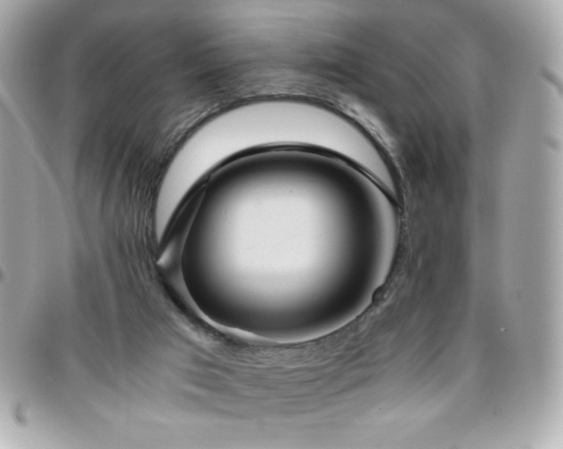 X0000096420017200801241326