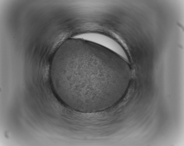 X0000096420018200801241326