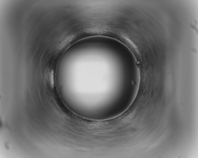X0000096420020200801241326