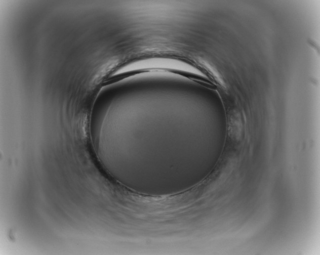 X0000096420023200801241326