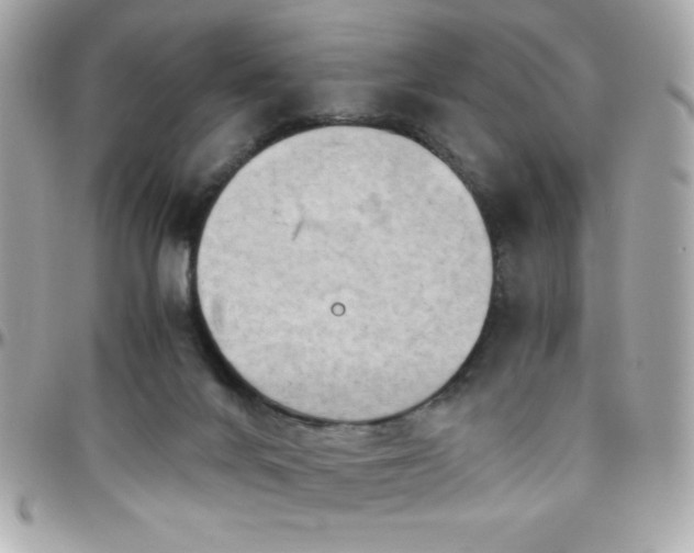 X0000096420024200801241326