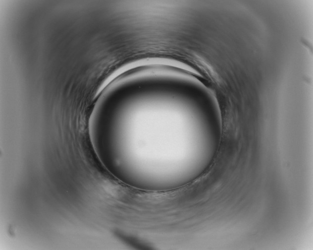 X0000096420025200801241326