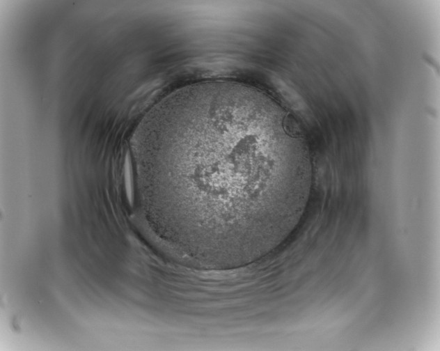 X0000096420026200801241326