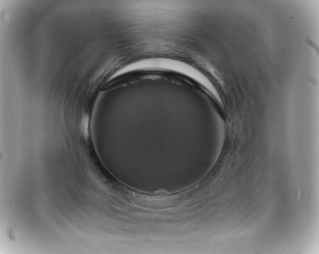 X0000096420027200801241326