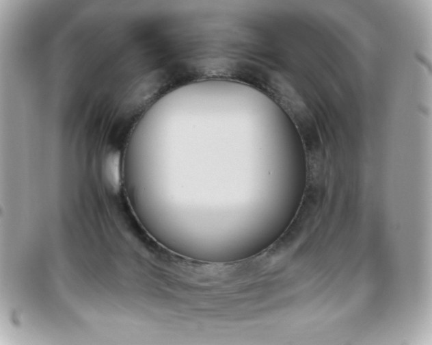 X0000096420028200801241326