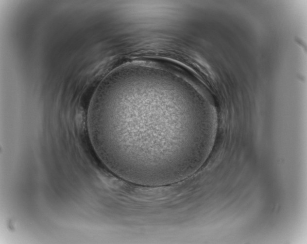X0000096420029200801241326