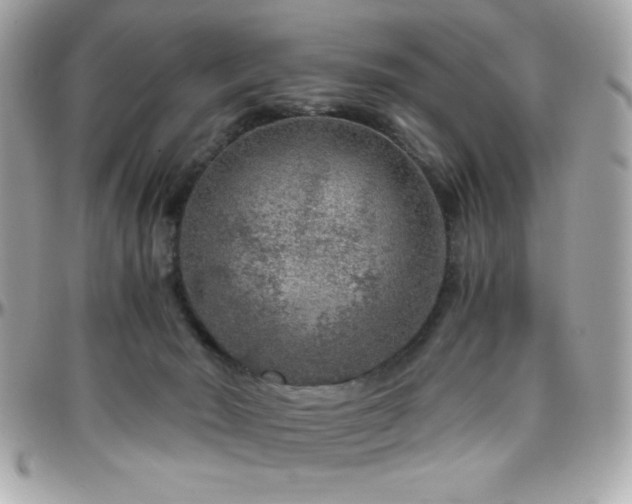 X0000096420030200801241326