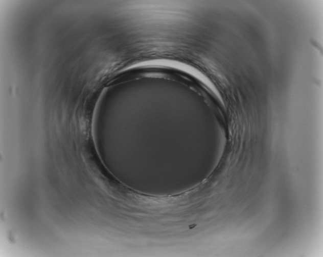 X0000096420031200801241326