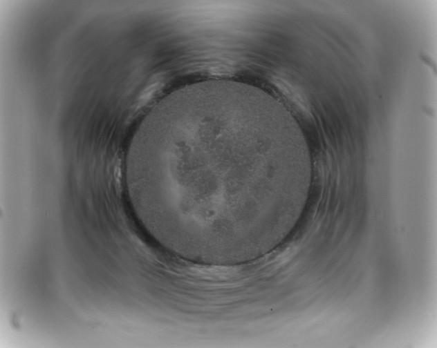X0000096420032200801241326