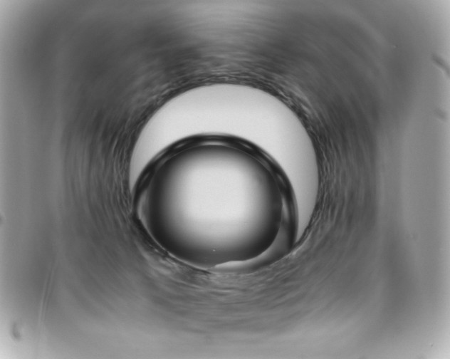 X0000096420033200801241326